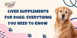 Liver Supplements for Dogs: Everything You Need to Know