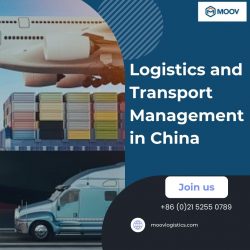 Logistics and Transport Management in China