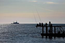 Reeling in Success: Long Island Fishing Report Updates