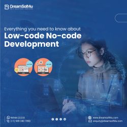 Everything you need to know about Low-code No-code Development
