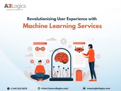 Revolutionising User Experience with Machine Learning Services