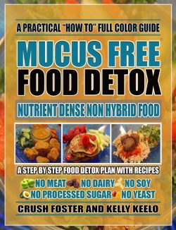 Mucus Free Food Detox eBook- The Sebian Shop