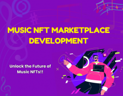 Music NFT Marketplace Development essentials for Startups