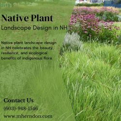 Native Plant Landscape Design in NH