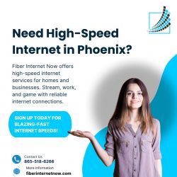 Need High Speed Internet in Phoenix? Get Fiber Internet Now!