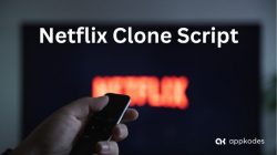 Get the Best Netflix Clone Script for Your Streaming Service