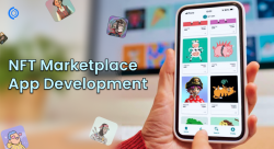 Start an NFT Marketplace App like OpenSea