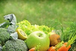 Nutrition Certification Courses in Hyderabad