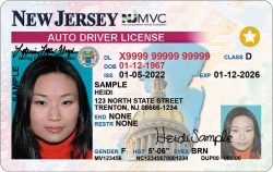 Why Fake ID Services Are More Popular Than Ever