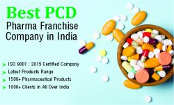 PCD Pharma franchise is a business model in which a pharmaceutical company allows another party  ...