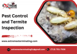 Complete Pest Control and Termite Inspection for Your Home & Business