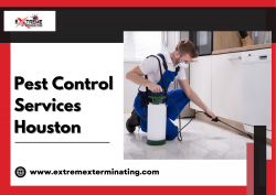 Commercial Pest Control Services in Houston