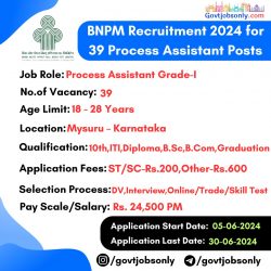 BNPM Recruitment 2024: Apply for 39 Process Assistant Posts