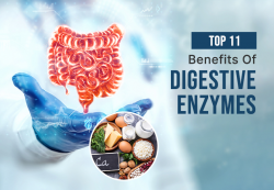 Top 11 Benefits of Digestive Enzymes – Ultreze Enzymes