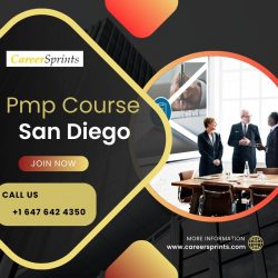 Fast-Track Your Career with PMP Courses in San Diego