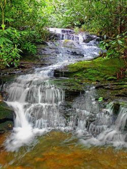 Must Visit the Tranquil Beauty of South Chapple Falls