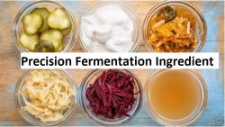 Precision Fermentation Ingredients Market is expected to reach $38.02 billion by 2031