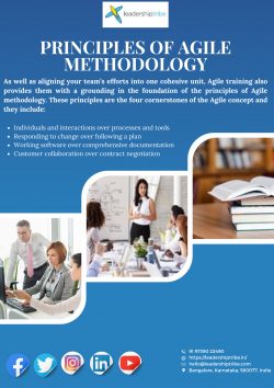 Principles of Agile Methodology