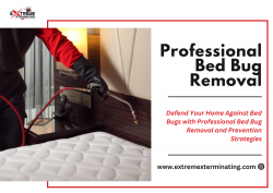 Professional Bed Bug Control Service Reliable Extermination Solutions