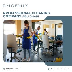 Professional cleaning company in Abu Dhabi