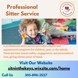 How to Choose the Best Professional Sitter Service for Your Needs