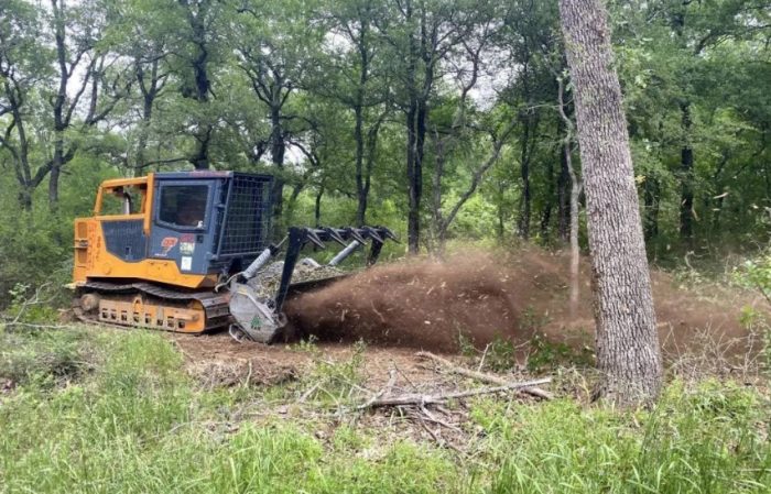 Professional Underbrush Removal in Franklinton, Louisiana