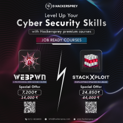 Professional Web Hacking Course
