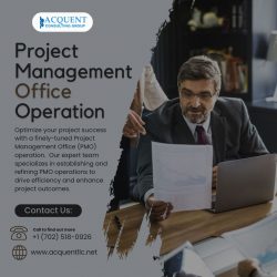 Project Management Office Operation