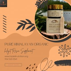 Pure Himalayan Organic Shilajit Resin Supplement
