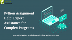 Python Assignment Help: Expert Assistance for Complex Programs