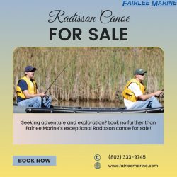 Radisson Canoe for Sale