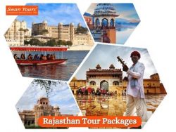 Explore the Majesty of Rajasthan with Our Exclusive Tour Packages