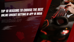 10 Reasons to Choose the Best Online Cricket Betting ID App in India: Golden444 App