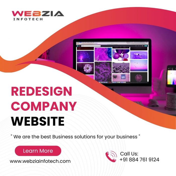 Redesign Company Website – Webzia Infotech