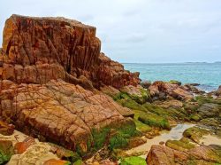 Red Rocks Beach Phillip Island!