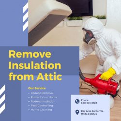 Professional Attic Insulation Removal Service