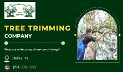 Revitalize Your Garden with Quality Tree Trimming