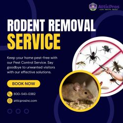 Need reliable rodent removal services?