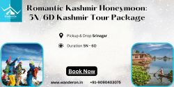 Romantic Kashmir Honeymoon: 5N/6D Kashmir Tour Package