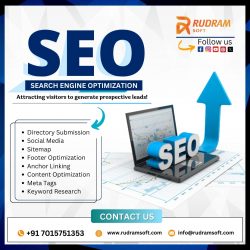 Dominate Search Rankings with SEO Services in Haryana | Rudramsoft