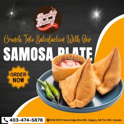 Why Samosa Factory Is Known as Best Spot for Food Lovers?