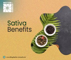 Sativa Benefits
