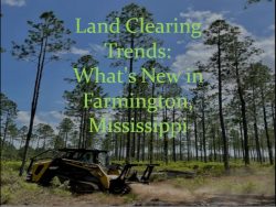 Land Clearing Trends: What’s New in Farmington, Mississippi?