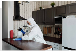 Mold Removal Baltimore