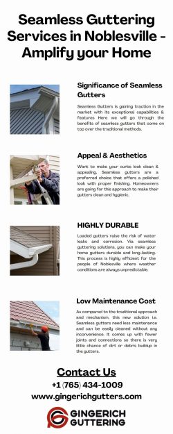 Seamless Guttering Services in Noblesville – Amplify your Home