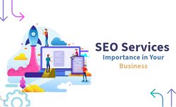 SEO Services Company In Jaipur