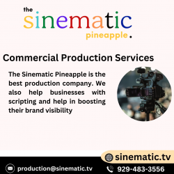 The Sinematic Pineapple – Best production company
