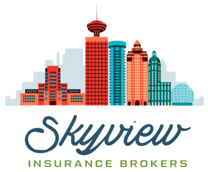 Skyview Insurance