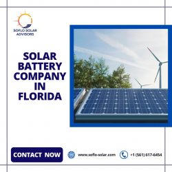 Solar Battery Company in Florida