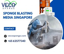 Sponge Blasting Media Singapore